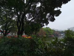 -荔湾湖公园