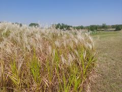 -盘龙城国家考古遗址公园