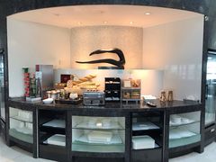 -虹桥机场国航贵宾室v8