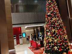 -深圳湾科技园丽雅查尔顿酒店