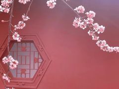 -桃花堤公园