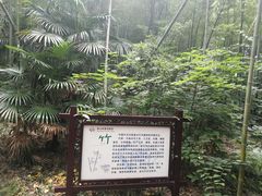 -南山风景名胜区