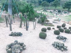 -东莞植物园