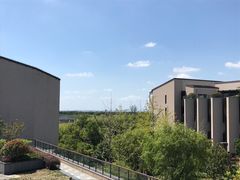 -上海崇明金茂凯悦酒店