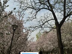 -元大都城垣遗址公园