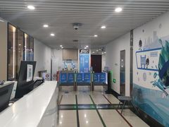 -北京科技大学-游泳馆