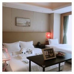 -明宇集团·积木枝芽母婴健康管理中心(天府店)