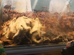 -顺城金记卤鸡·清真