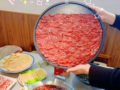 -渝大龙重庆火锅(温泉月亮湾店)