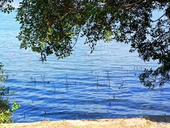 -西昌邛海湿地
