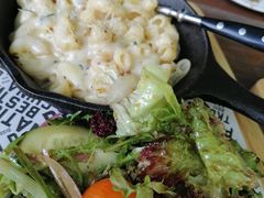 -Boxing Cat Brewery拳击猫精酿啤酒馆(永福店)