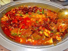 -黔渔翁豆花渎鱼(喷水池店)