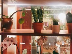 -二酉书店TOYOU BOOKS