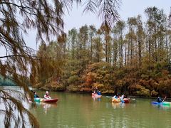 -上海海湾国家森林公园