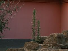 -永安水煮活鱼·仪征土菜院子