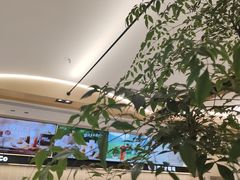 -CoCo都可(吾悦店)