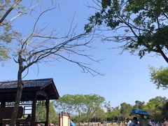 -聚龙山公园