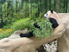 -杭州野生动物世界