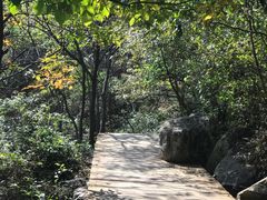 -大岭沟猕猴桃谷风景区