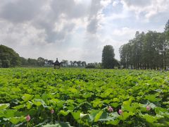 -东湖磨山景区