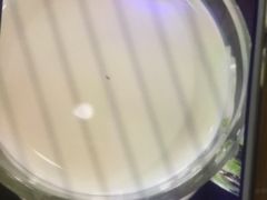 -维园港式茶餐厅(龙岗盛平店)