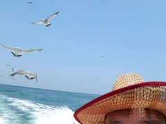 -海驴岛(荣成市)