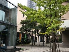 -徐家汇源景区-衡山坊