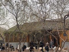 -春风习习