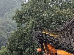-伴山茶苑·围炉煮茶