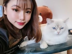 -瞄一喵猫咖(格力海岸店)