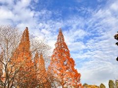 -白马涧龙池景区