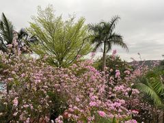 -清远熹乐谷温泉度假酒店