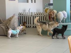 -怪兽屋·羊驼·猫咖·狗咖(俊华广场店)