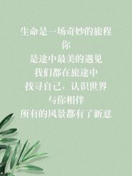 -禧趣婚礼