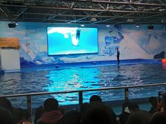 -石林冰雪海洋世界