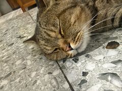 -王尔德与花