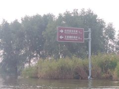 -白洋淀景区