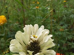 -白鹭湾湿地公园