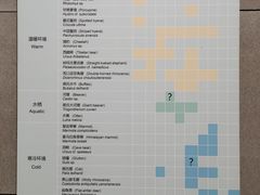 -北京周口店北京人遗址博物馆