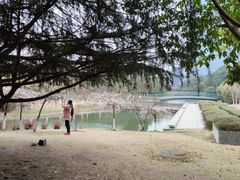 -白塘生态植物园