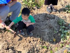 -荔枝红五号农庄