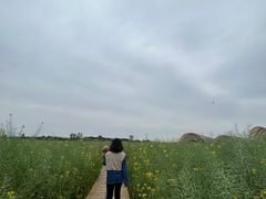 -中国天府农业博览园