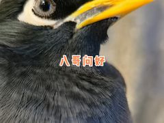 -东四民芳餐厅(世茂工三店)