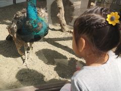 景点-南宫五洲植物乐园