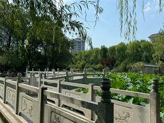 -莲湖公园