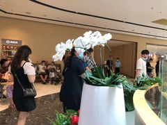 -海底捞火锅(江宸天街店)