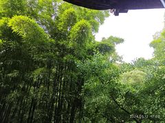 -成都杜甫草堂博物馆