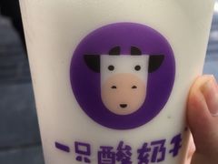 -一只酸奶牛(八一路店)