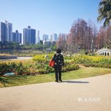 打卡全世界最大的"盖世金牛"雕塑
