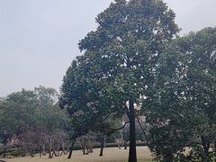 -上海虹桥迎宾馆